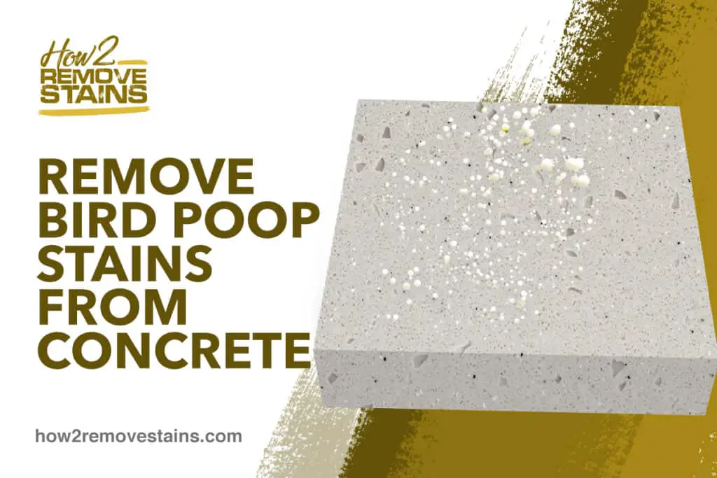 how-to-remove-bird-poop-stains-from-concrete-video-detailed-answer