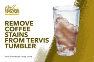 stains tervis