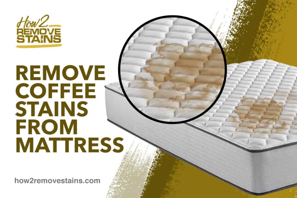 How To Remove Coffee Stains From Mattress Detailed Answer
