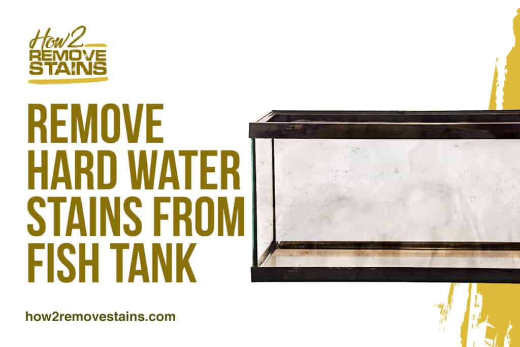 How to Remove Hard Water Stains From Fish Tank [ Detailed Answer ]