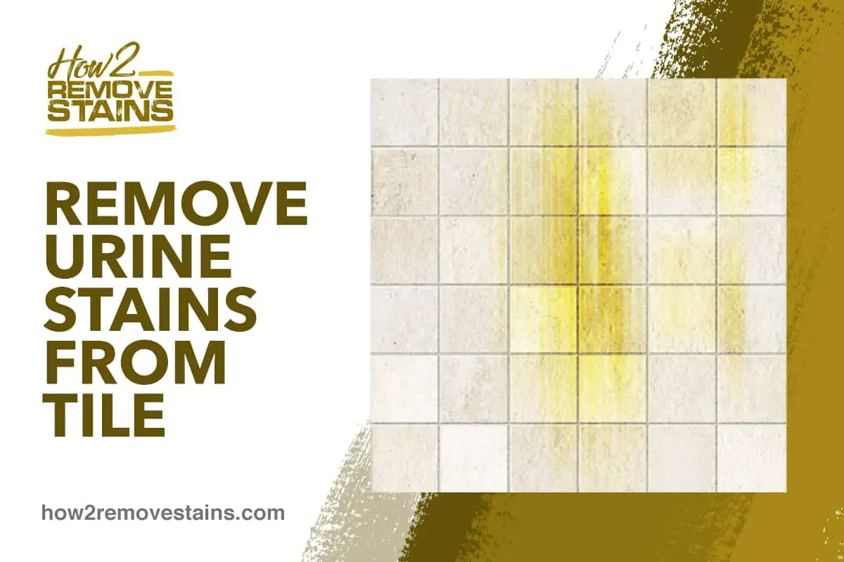 How To Remove Urine Stains From Tile, How To Clean Old Stained Tile Floors