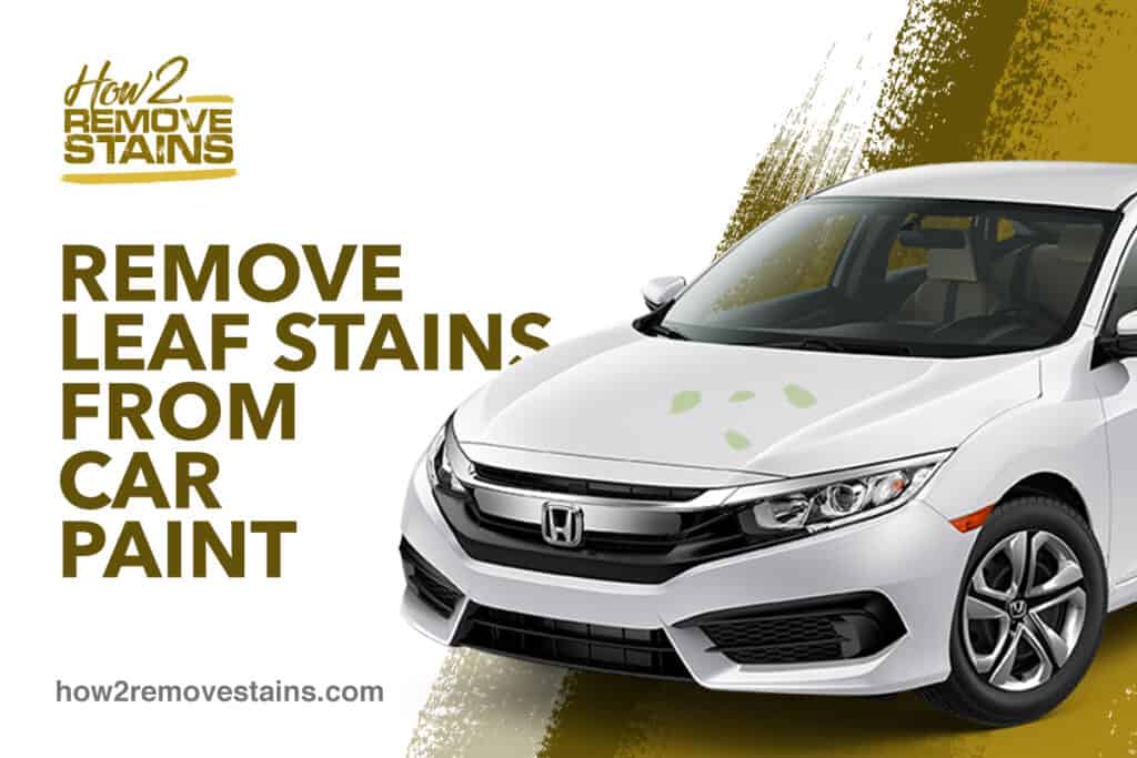 How to remove leaf stains from car paint [ Detailed Answer ]