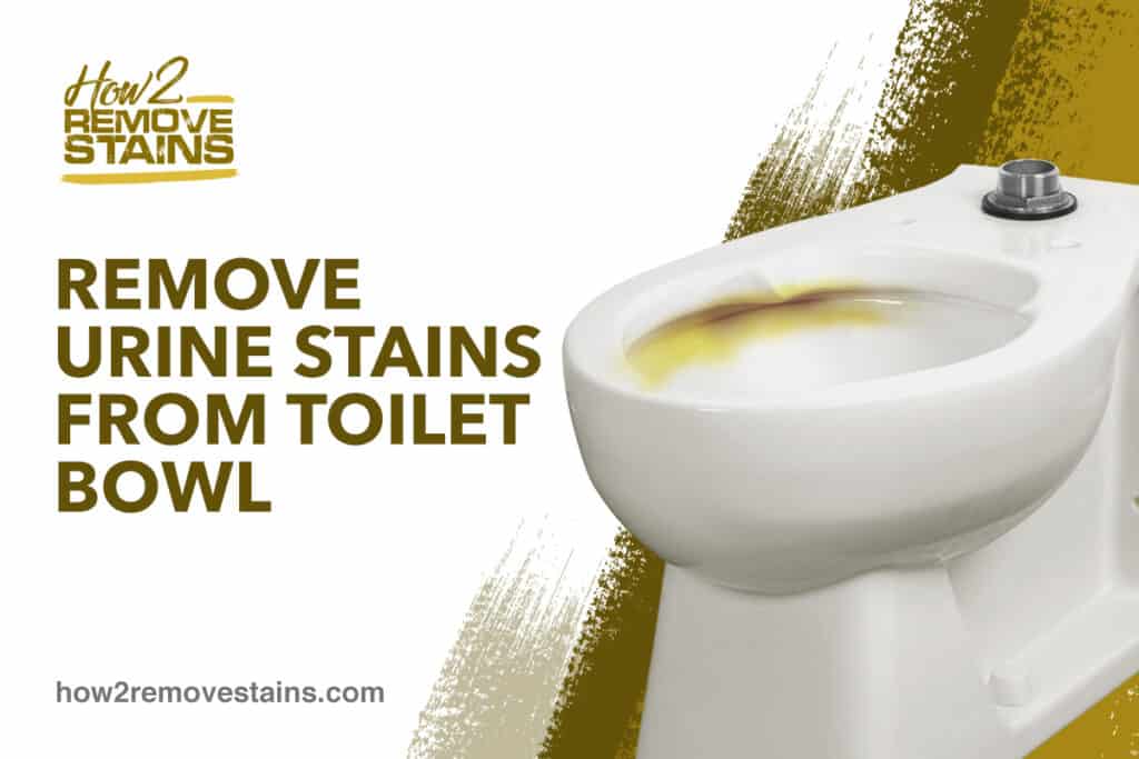 How To Remove Urine Stains From The Toilet Bowl Detailed Answer - How To Remove Stains From Toilet Seat Cover
