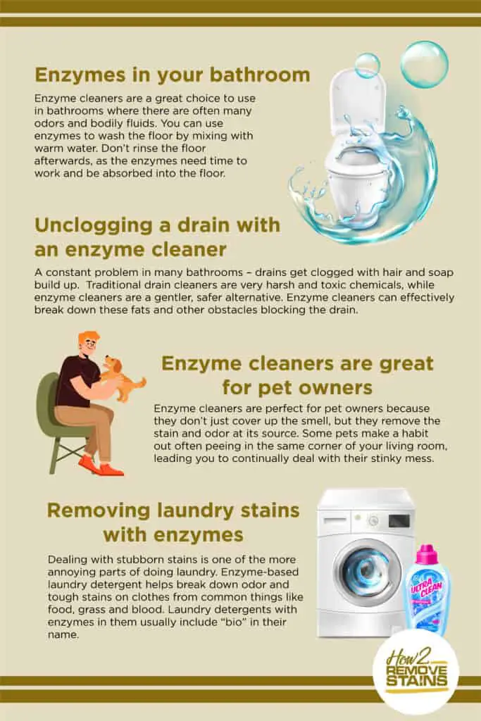 Enzymes in your bathroom