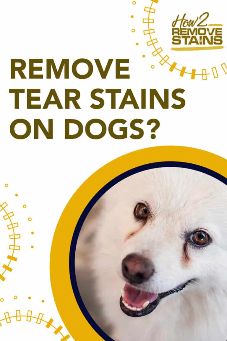 How to remove tear stains from dogs [ Detailed Answer ]