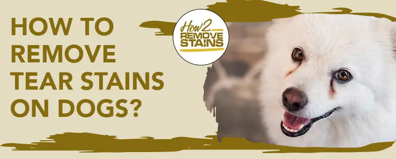 How To Remove Tear Stains From Dogs Detailed Answer