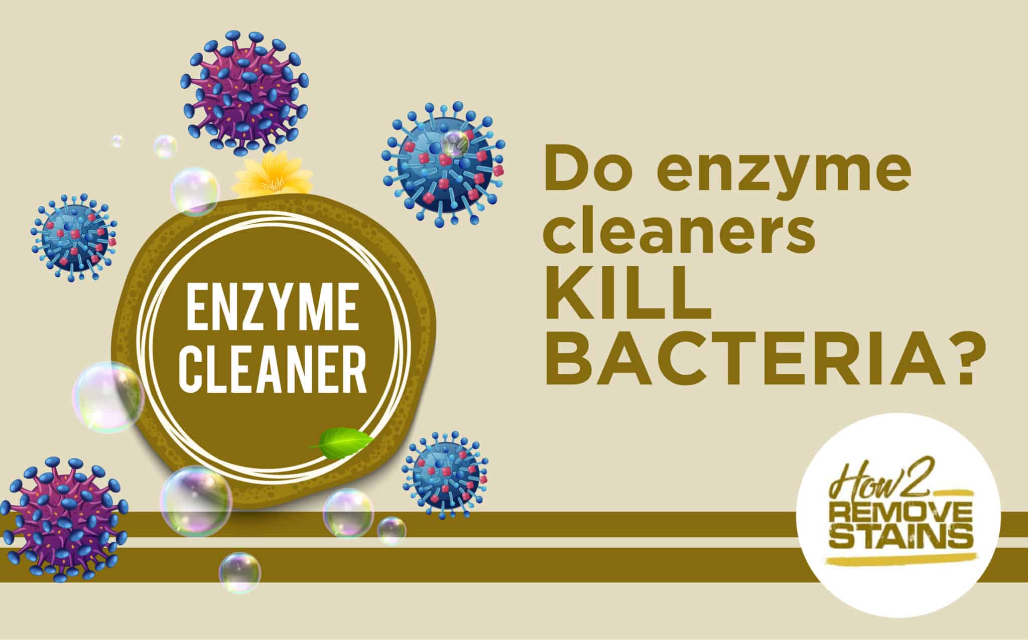 Do enzyme cleaners kill bacteria? [ Detailed Answer ]