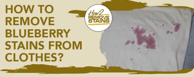 how-to-remove-blueberry-stains-from-clothes-detailed-answer