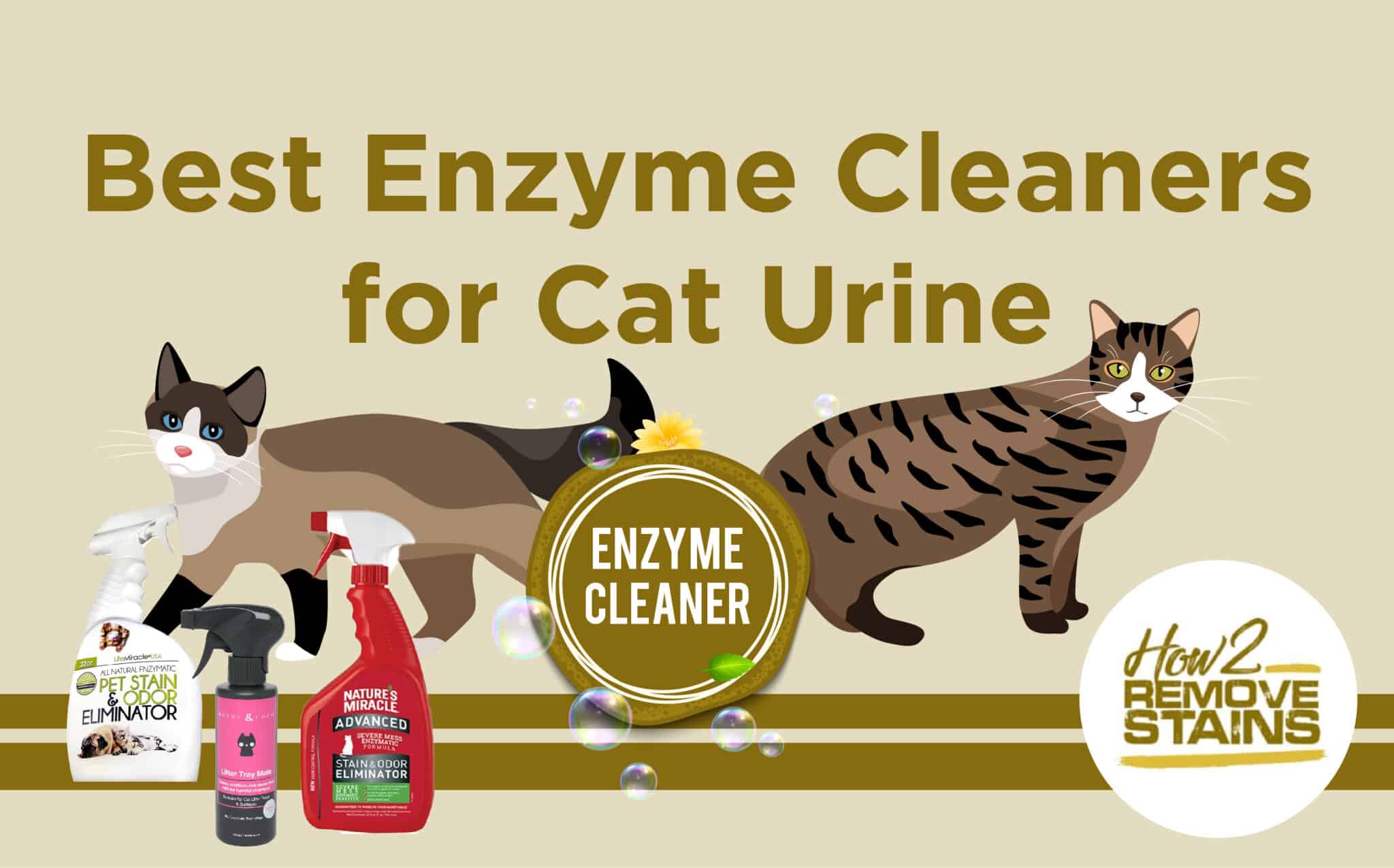 Enzymes For Cat's at Frances Carbone blog