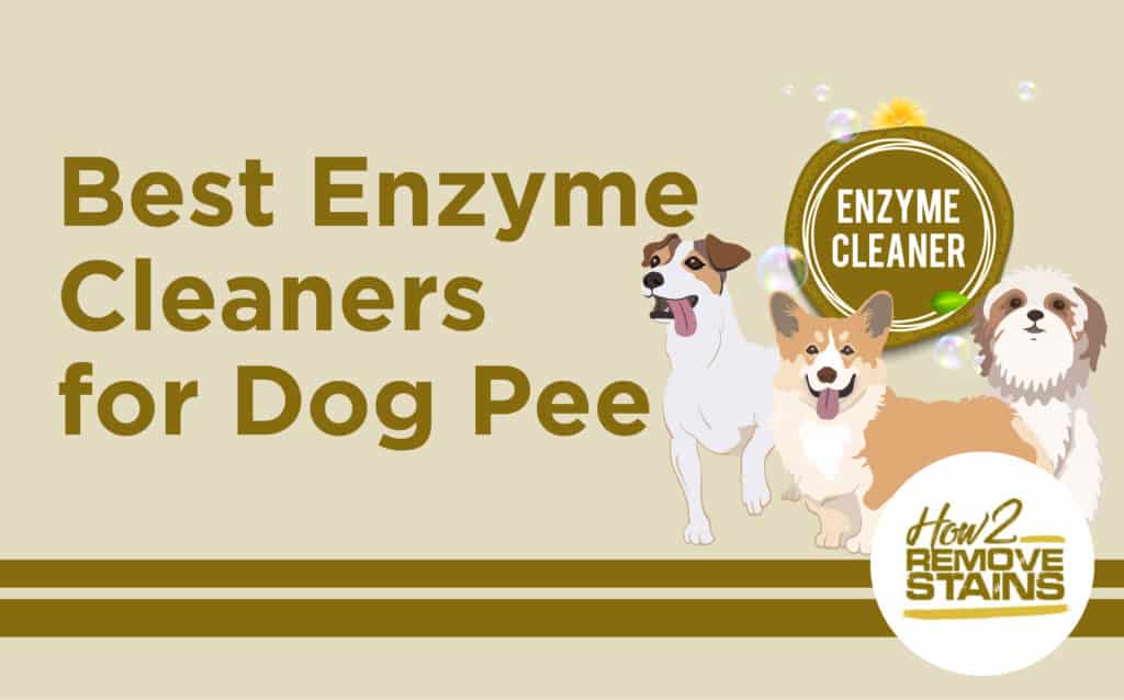 top enzyme cleaners