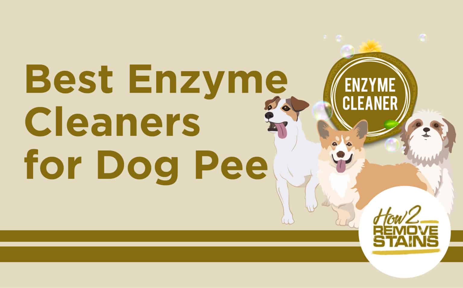 Top 9 Best Enzyme Cleaners For Dog Pee [ Detailed Answer ]