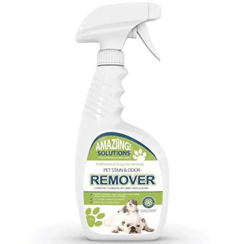 best cleaner for pet accidents