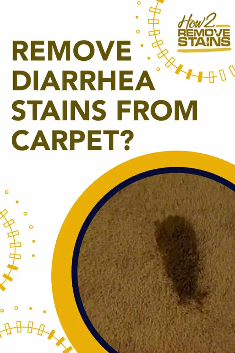 Best Way To Remove Dog Diarrhea From Carpet